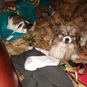 Meet your Posher, Pamela